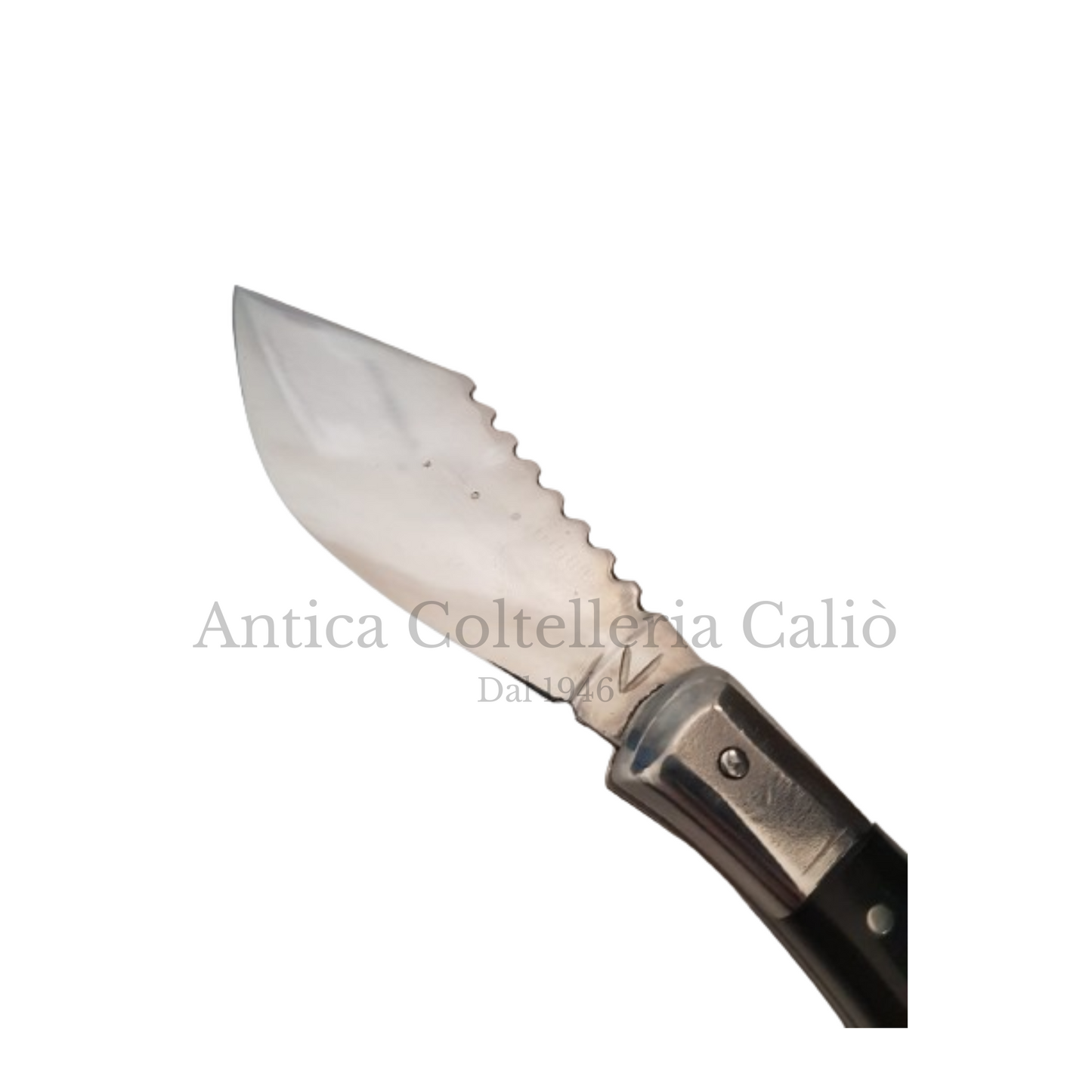 Papera D'Elitè