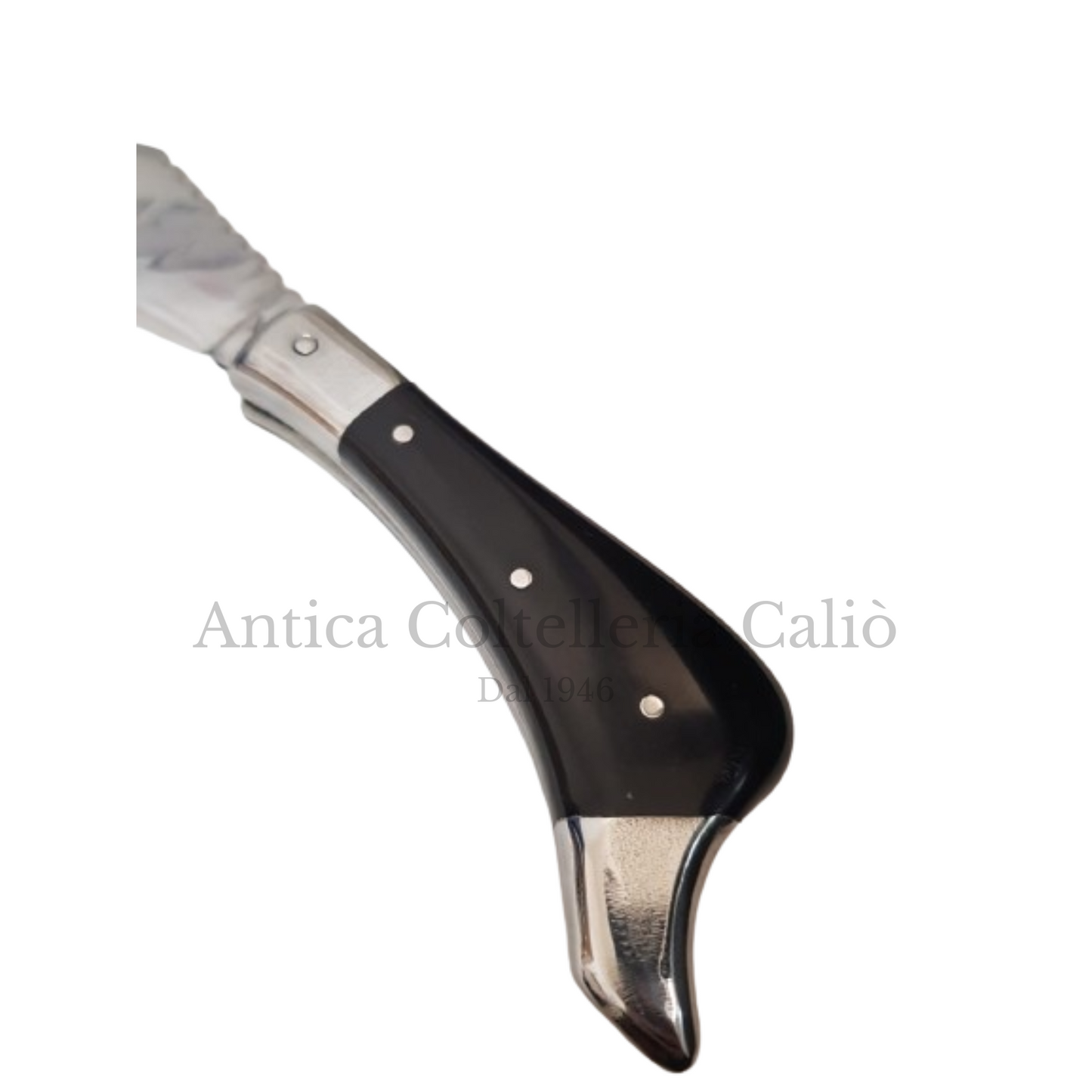 Papera D'Elitè