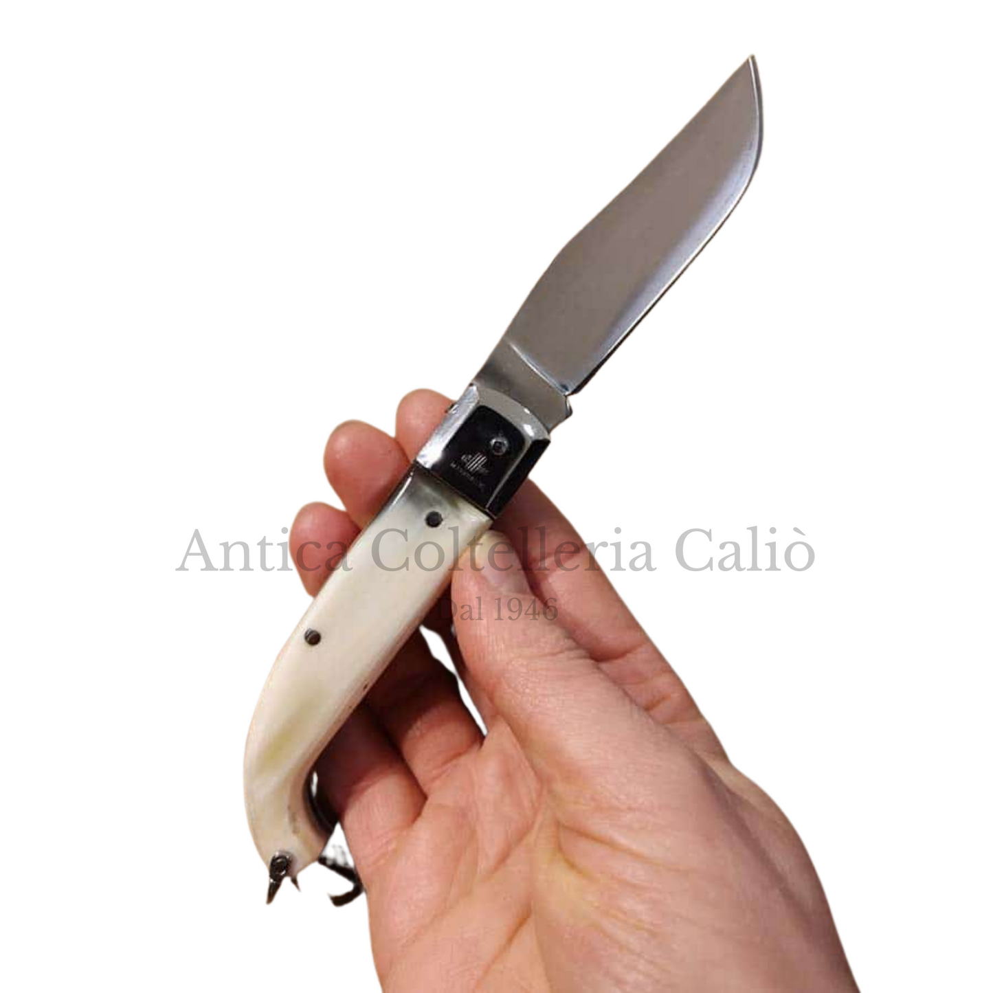 Lo Scarperia in corno lucido/antico