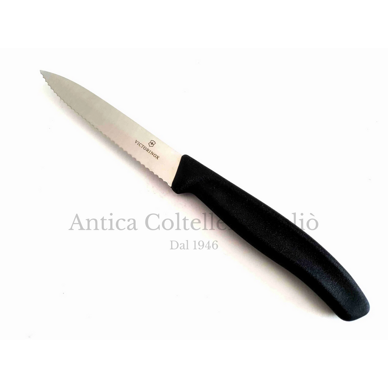 Victorinox - Spelucchino liscio & dentato nero