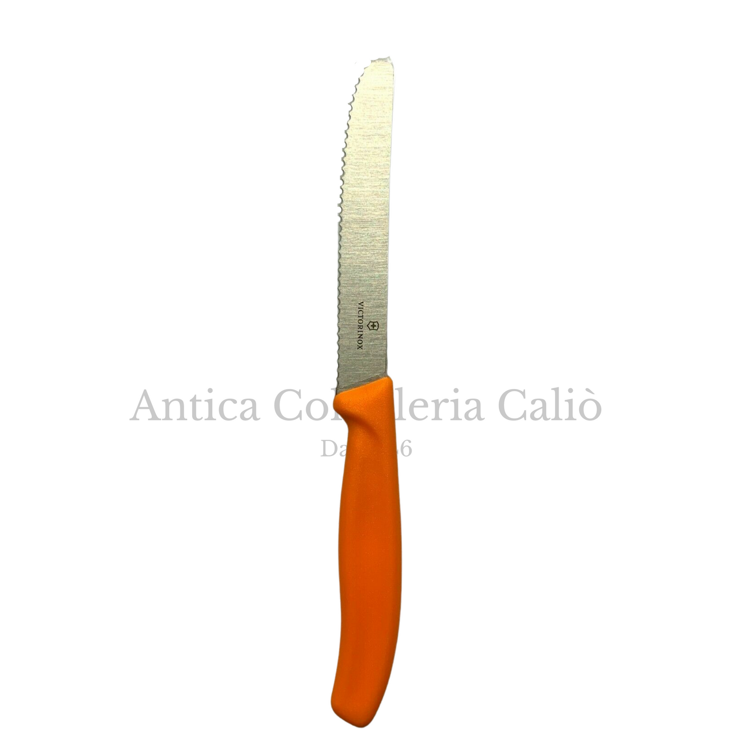 Victorinox - Coltelli da tavola
