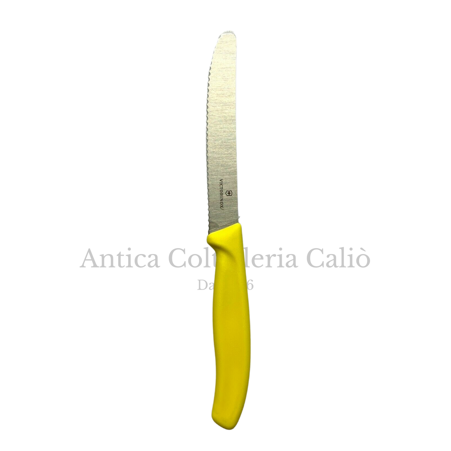 Victorinox - Coltelli da tavola