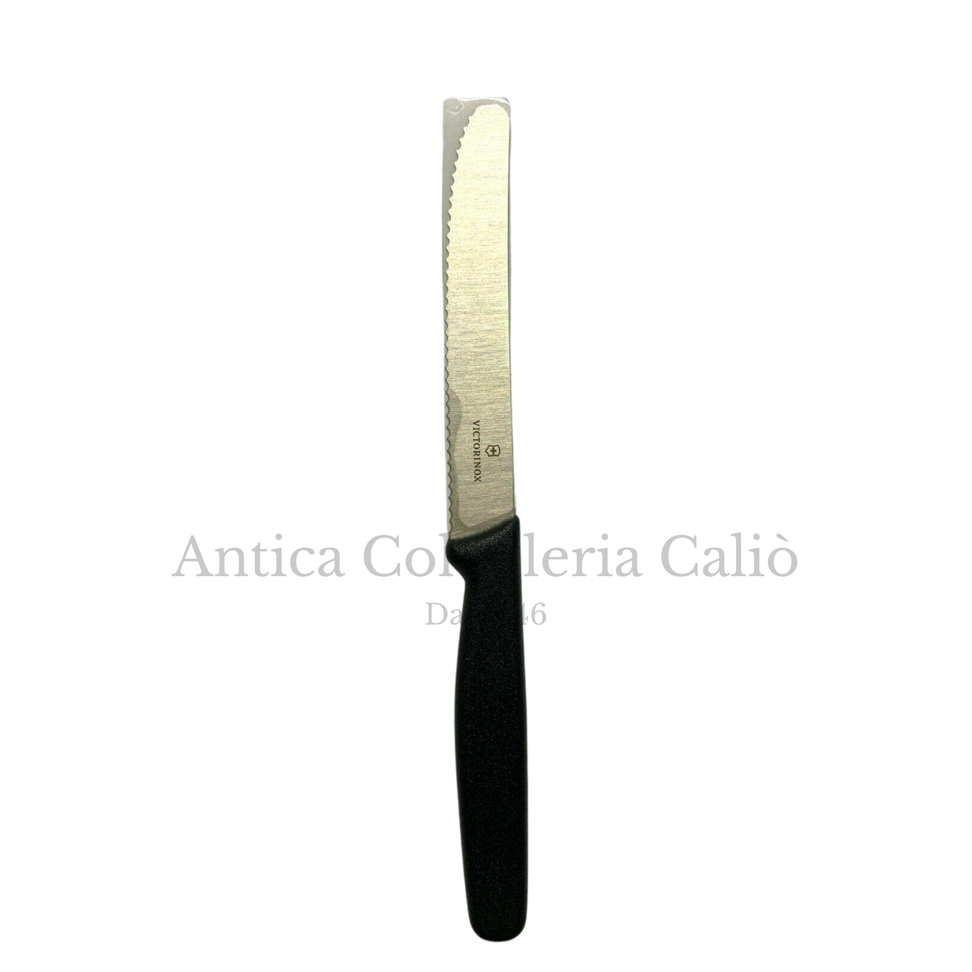 Victorinox Coltelli da tavola