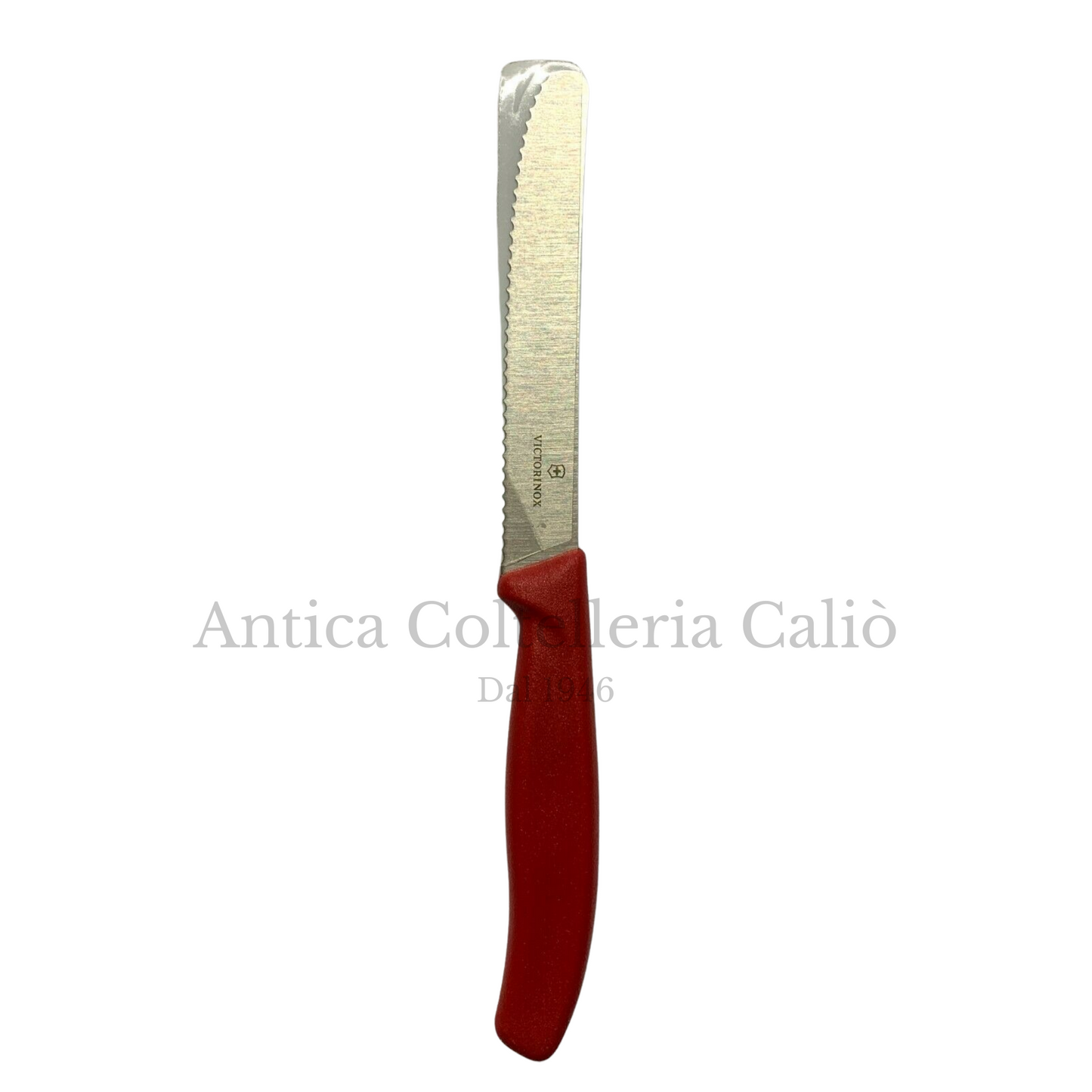 Victorinox - Coltelli da tavola